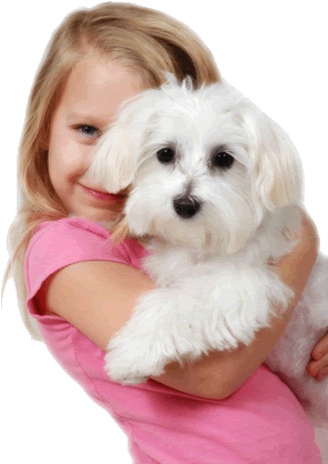 Girl holding puppy
