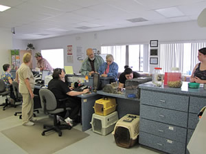 Animal Services Front Desk