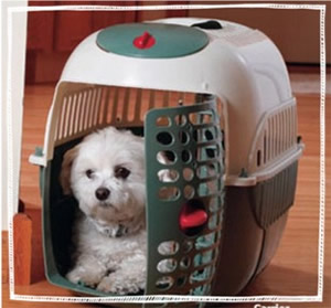 Pet carrier