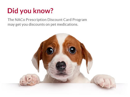 Pet Med Discounts